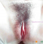1D812187-4FA1-4B76-8FF1-745053BED10F.png
