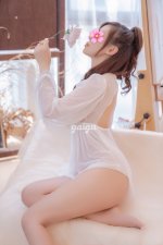 772265.jpg